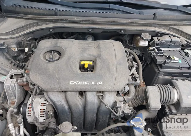 5NPD74LF1JH249318: 43019481