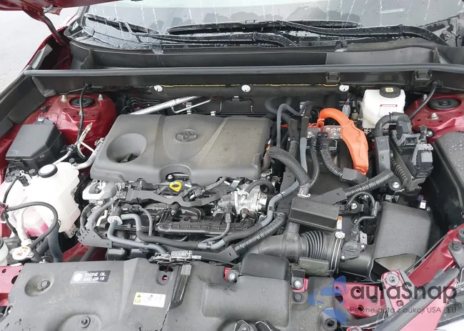 JTMLWRFV7PD206924: 43019776