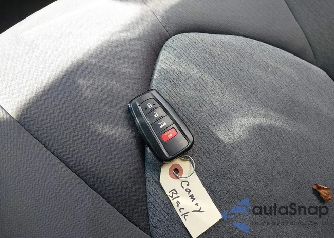 4T1C31AK4RU628252: 43019853