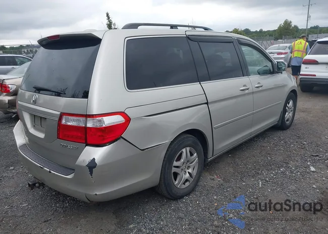 5FNRL38756B049545: 43019086