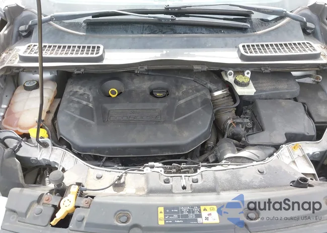 1FMCU9G98DUB49888: 43019232