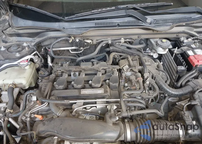 19XFC1F34GE014185: 43020497