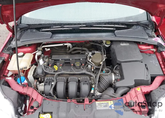 1FADP3F29DL293866: 43020560