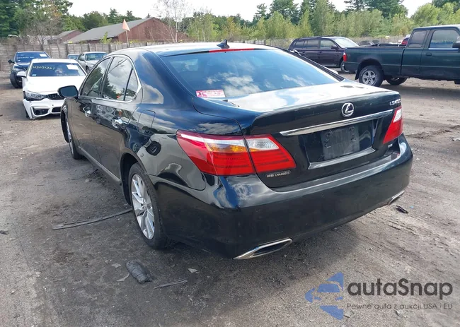 JTHCL5EF9B5012313: 43020586