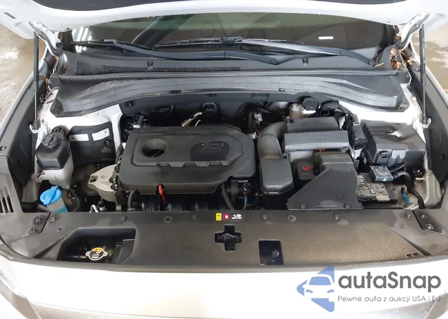 5NMS2CAD6KH072619: 43020238