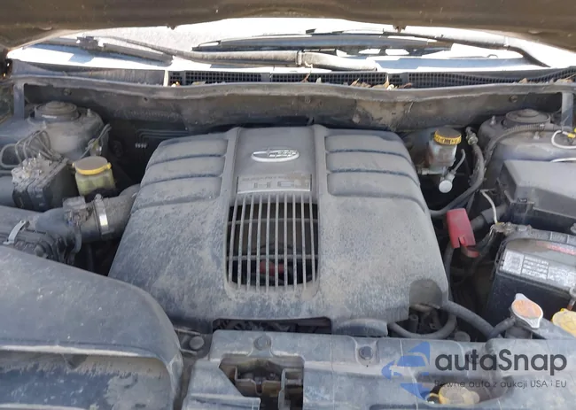 4S4WX9GD9C4400053: 43020251