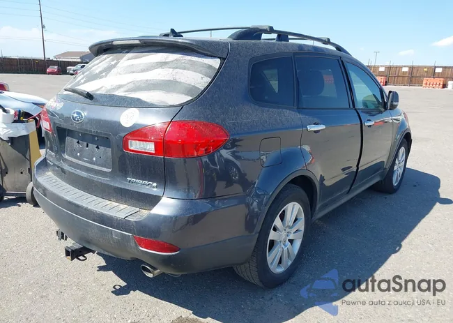 4S4WX9GD9C4400053: 43020251