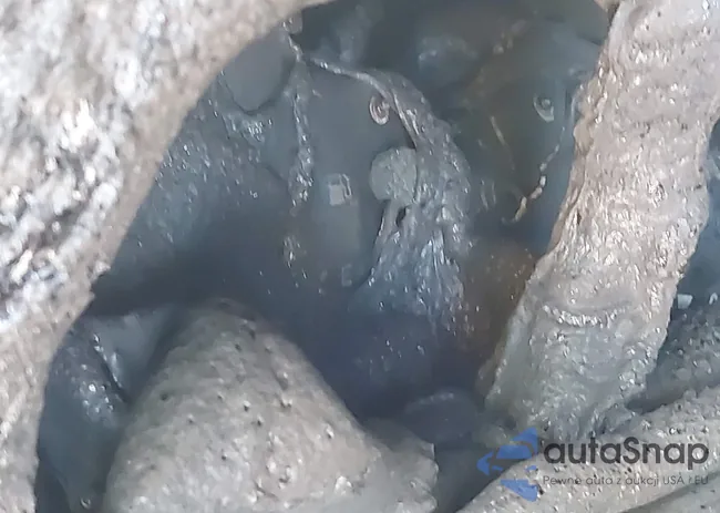 2T1CG22P5YC360431: 43021358