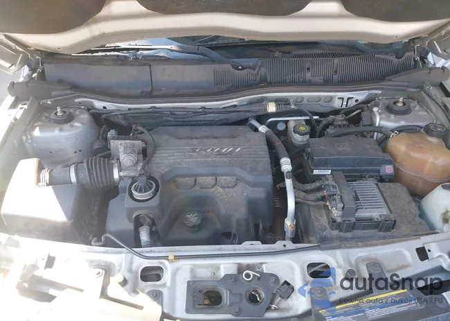 2CNDL13F866203020: 43021559