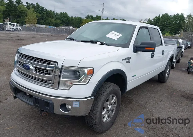 1FTFW1ET1EFD02192: 43021669