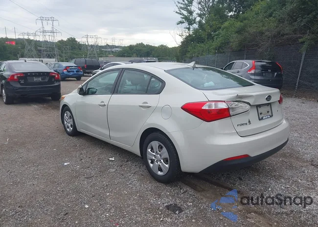 KNAFK4A60F5395854: 43021743