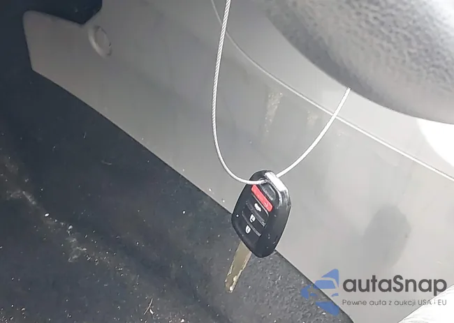 19XFB2F50FE089491: 43022828