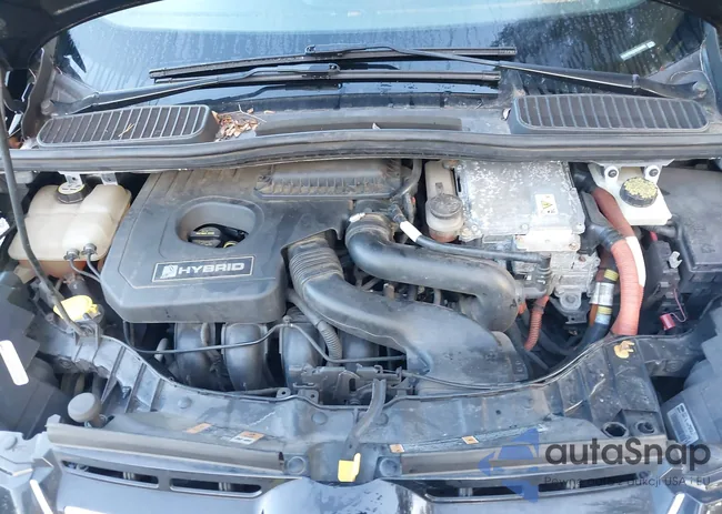 1FADP5BUXDL506066: 43022936