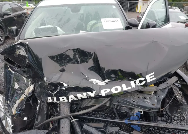 1C4SDJFT5KC781572: 43024853