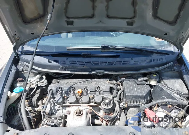 2HGFA1F56BH308063: 43024007