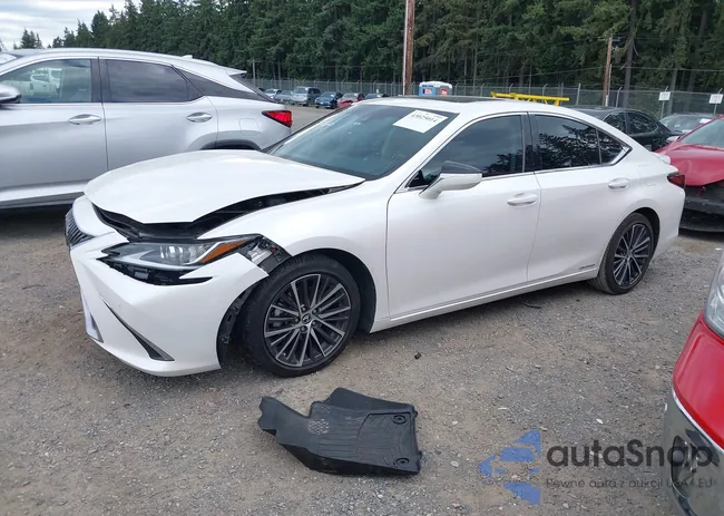 58AD21B11LU010206: 43025014