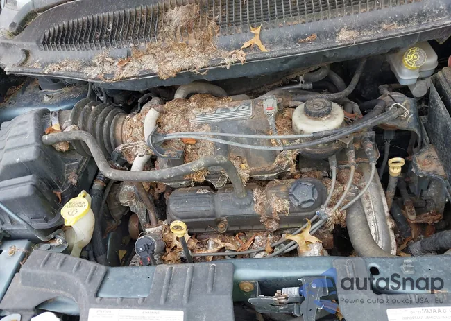 2A4GP44R66R753471: 43025180