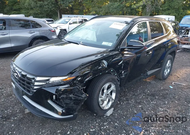 5NMJBCAE6NH022716: 43026051