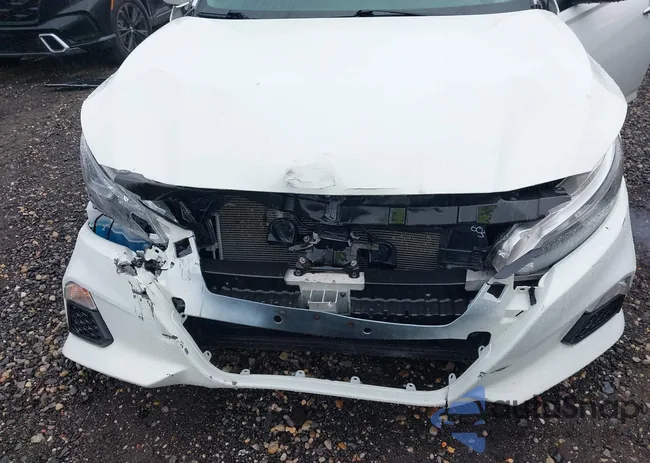 1N4BL4BV5LC255431: 43027505