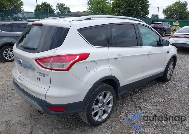 1FMCU9J92EUD13436: 43027093