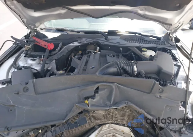 1FATP8UH7H5204449: 43028342