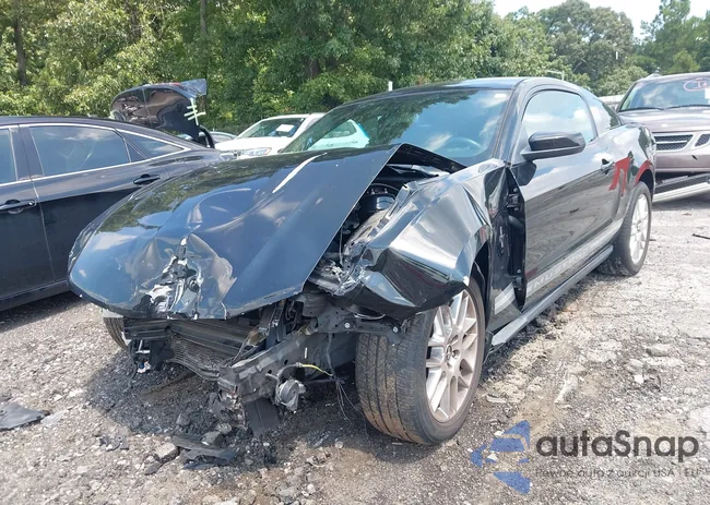 1ZVBP8AM1C5247827: 43027889