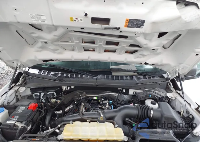 1FTEW1EP7KFB88936: 43030227