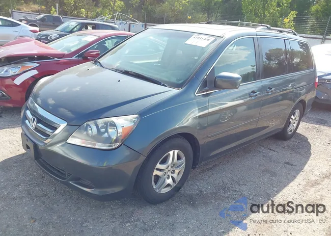 5FNRL38786B414431: 43031408