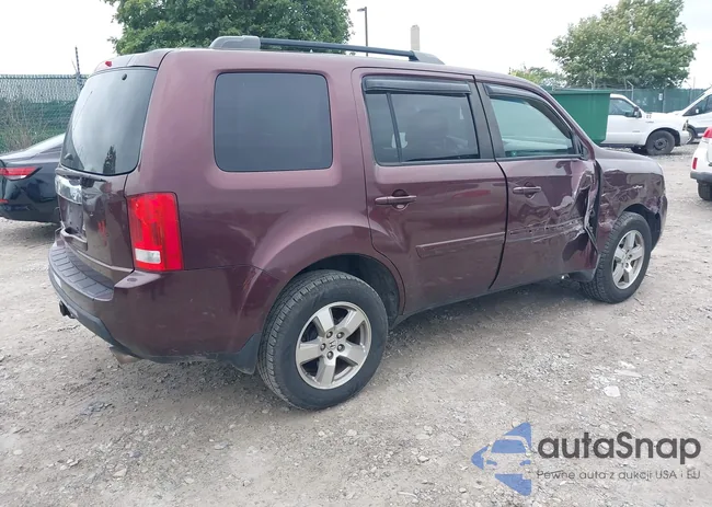 5FNYF4H43AB020262: 43031425