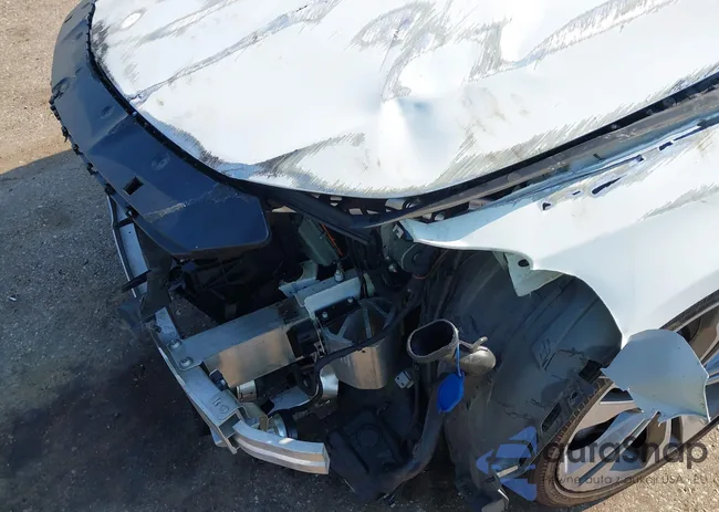 WDDSJ4EB7KN747341: 43031587