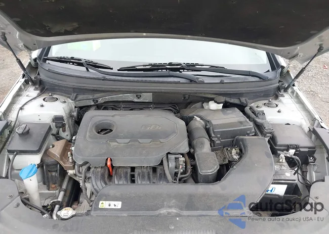 5NPE24AF3FH095501: 43031825