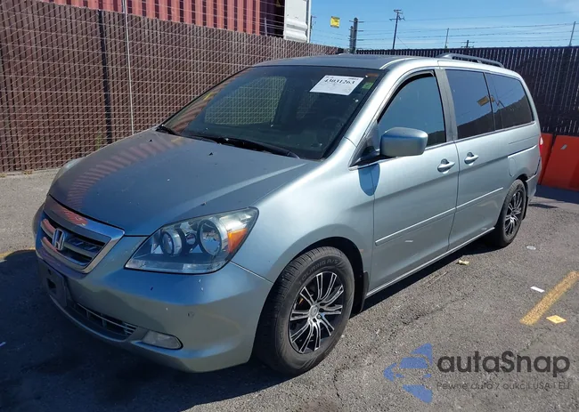 5FNRL38805B116219: 43031263