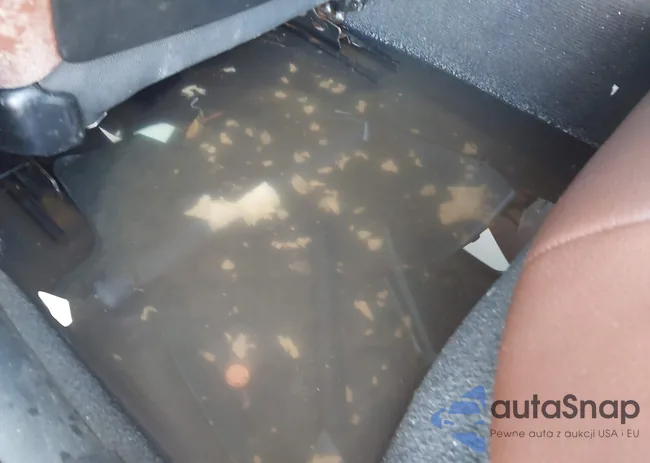 WBAVC93558K040595: 43031899