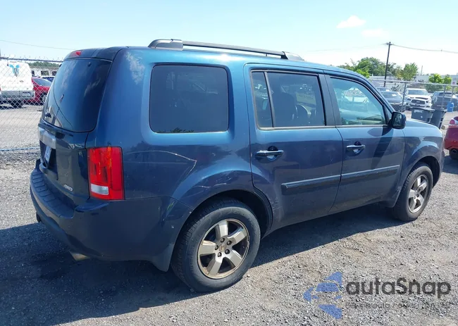 5FNYF4H56BB079607: 43033308