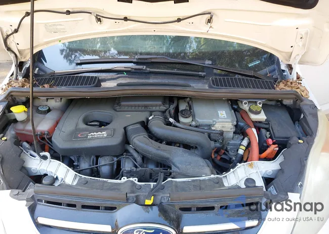 1FADP5CU0DL531251: 43033412