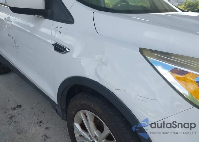 1FMCU0GD6JUA79531: 43032911