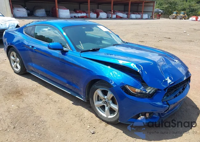 1FA6P8AM3H5309309: 43034081