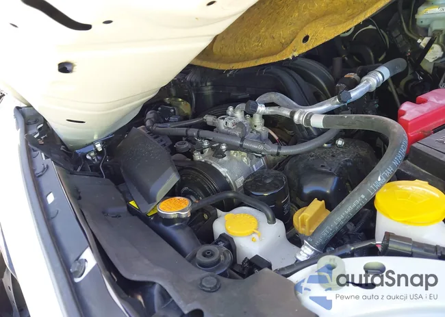 4S4BTAPC6P3124669: 43035995