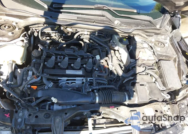 19XFC1F37GE202361: 43036009