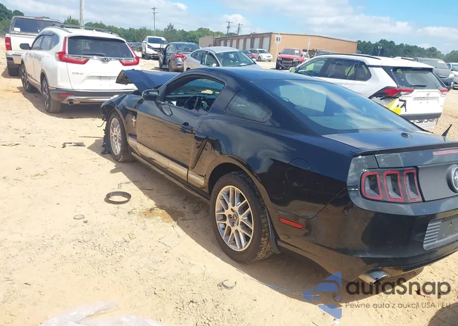 1ZVBP8AM1E5253680: 43036155