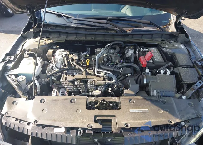 1N4BL4CV5RN395202: 43036251