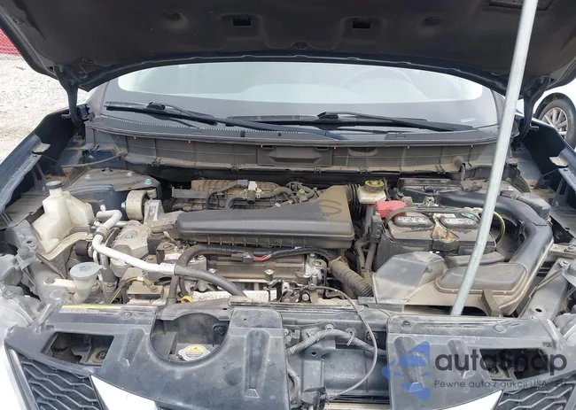 KNMAT2MT1GP690998: 43037002