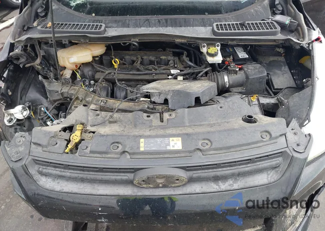 1FMCU0F71GUB88449: 43039481