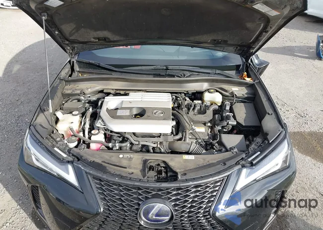 JTHU9JBH0K2013787: 43040376