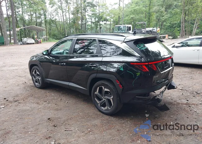 KM8JCCD19RU218388: 43040743