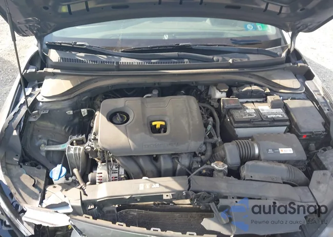 5NPD74LF2KH411071: 43040211