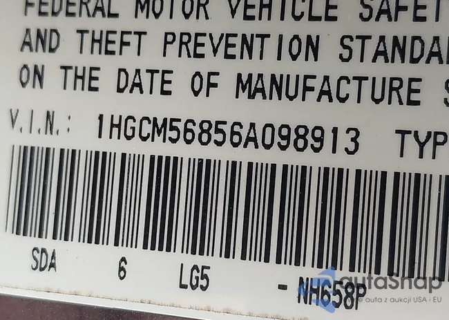 1HGCM56856A098913: 43042318