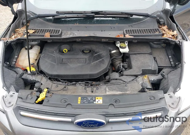 1FMCU9G92DUC31938: 43042158