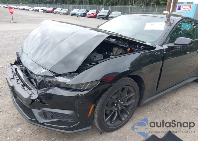 1FA6P8TH5S5114206: 43042204