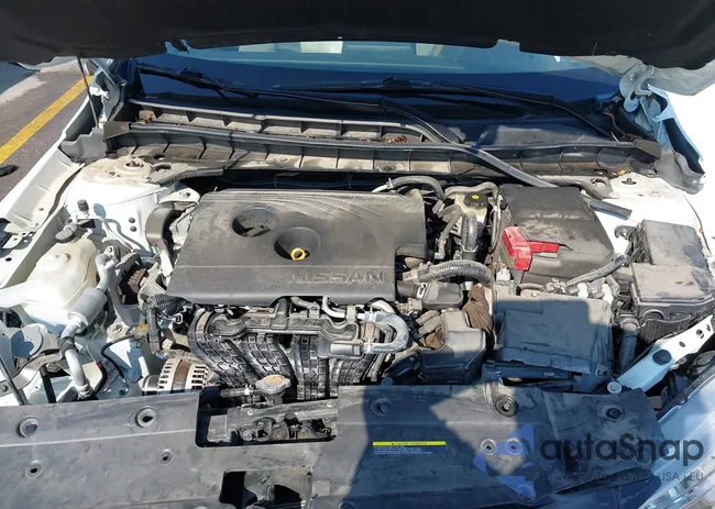 1N4BL4BV5LN303028: 43042217